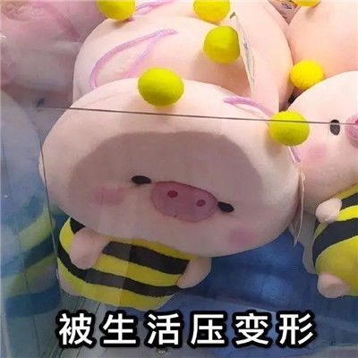 2021搞笑表情包考研