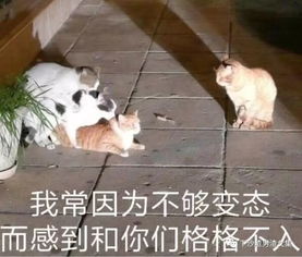 渣男潜水教练,人设崩塌,潜水圈并不是人间净土室友