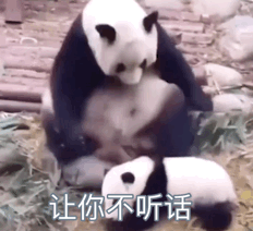 沙雕表情包我只有一瓶酒了,可我要想你一整夜