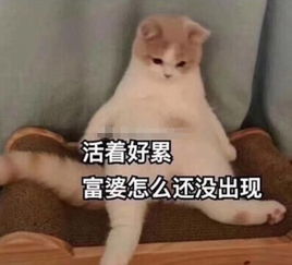 热点网传上海白马会所存有偿陪侍现象目前已停业