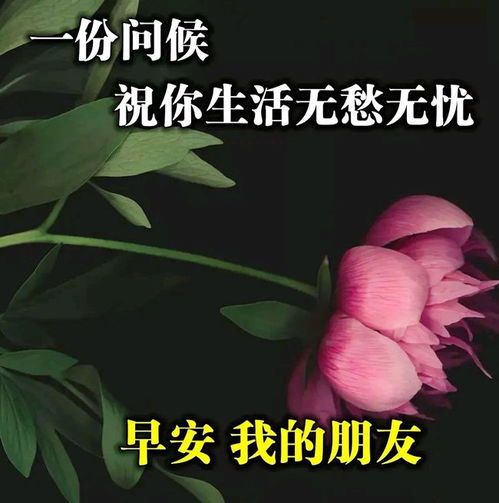 睁开明亮的双眼,舒展美丽的笑脸,拥抱快乐的一天,早安