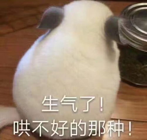 生气搞笑表情包表情