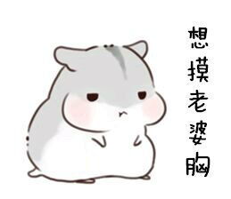 仓鼠抱瓜子堆糖,美好生活研究所