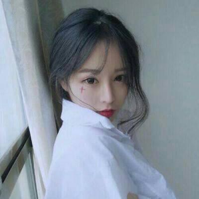 青雀手游app下载安装