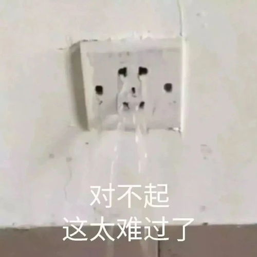热门表情包图片有人保护世界,我,只想守护你