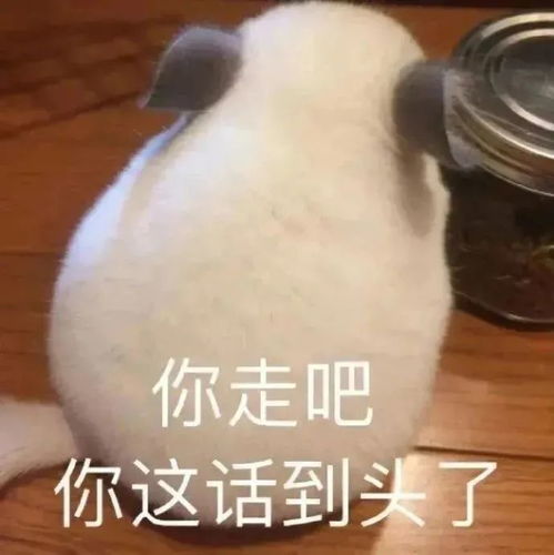 朋友圈配图726
