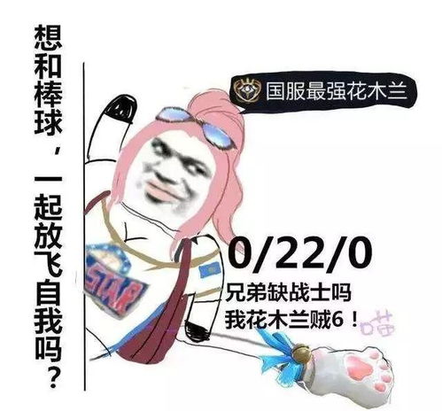 王者荣耀搞笑表情包国服