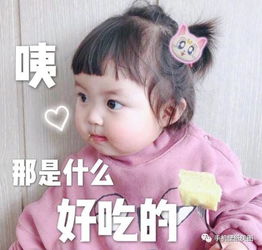 2019聊天专用搞笑表情包,带字表情包