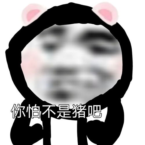 熊猫头表情包机会难得,你来不来