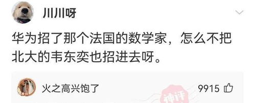爆笑图集狗子的表情说明了一切啊真是又菜又爱玩的典型代表啊