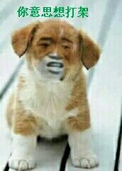 你意思是想打架