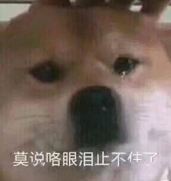 生死战重蹈覆辙股票会涨房价会跌,米四周赢不了