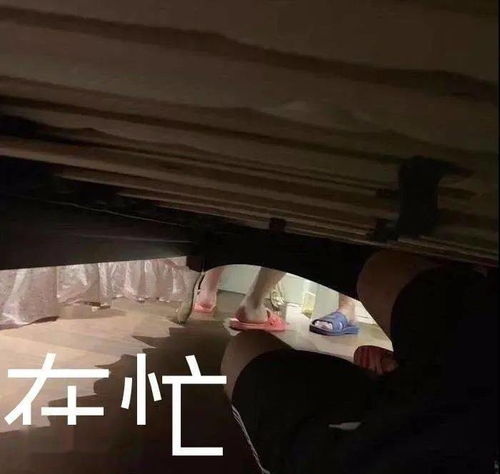 9月5日取图表情包