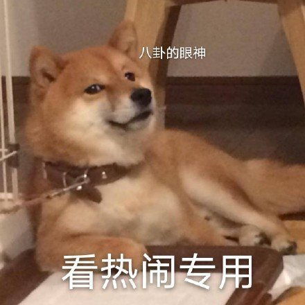 集可爱搞笑沙雕的表情包