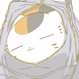 冬菇...猫咪老师
