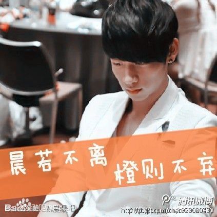 求魏晨最最最最最最帅气的照片