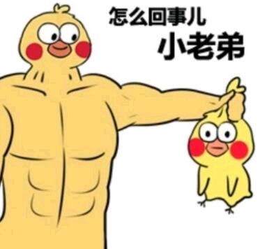 搞笑歇后语表情包小黄鸡