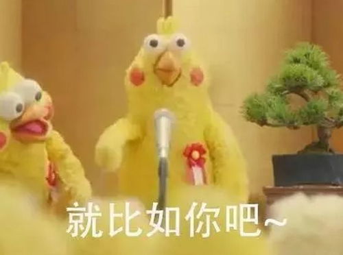 动态搞笑表情包带字兄弟萌