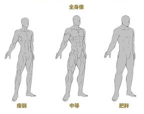 推荐男性肌肉绘画技巧非常全面的漫画动漫男性身材绘画技巧
