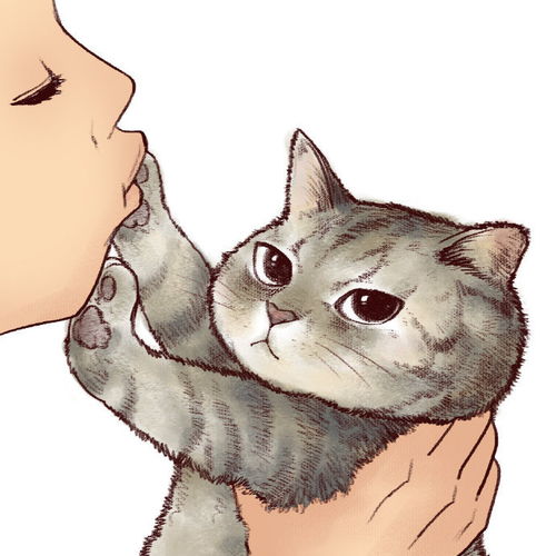 收藏夹
