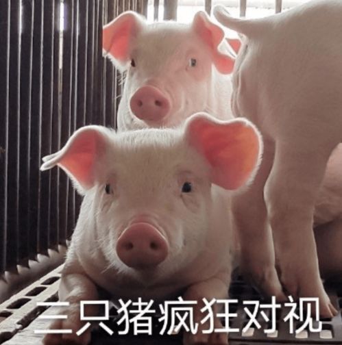 竟然不知道还有这些神奇规律