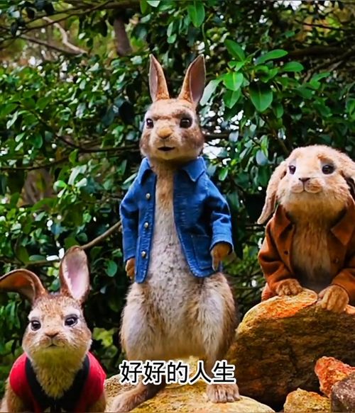 好好的快乐,让长大了给废了人生感悟兔牙牙动漫内容太过真实
