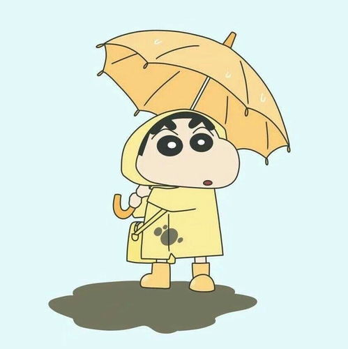 收收收˙o˙