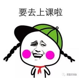 不同家庭收入的保险配置组合,这样原来最省钱