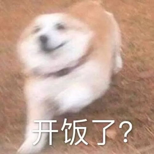 表情包