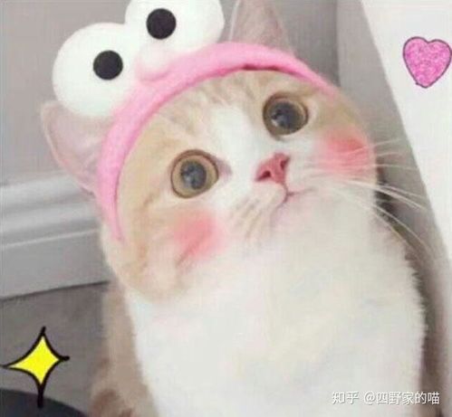 如何清除无线耳机里面的耳屎等污垢