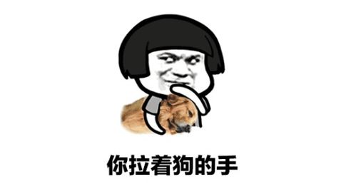 我拉着狗的手是什么歌