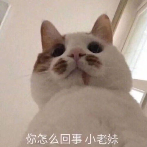 厦门一年轻女子穿塑身衣瘦身,不穿都不想出门,3个月后竟成这样医生提醒
