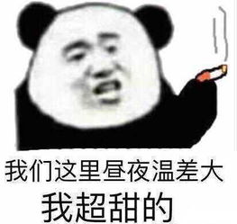为什么男生不喜欢用熊猫人表情包的女生梦想家杨刚然的回答...