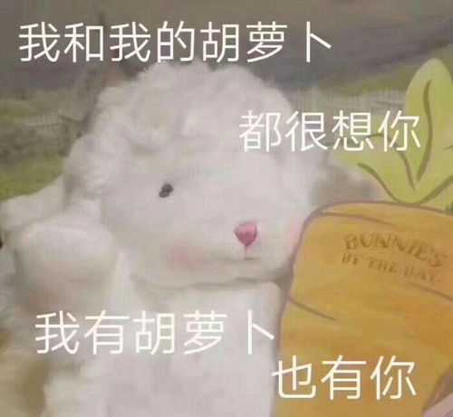 有什么好看的表情包吗