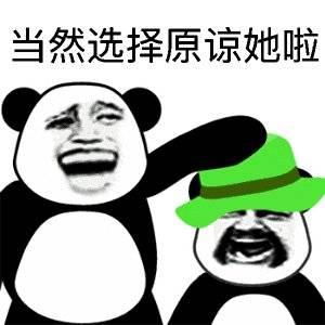 搞笑gif趣图人在车上坐绿帽天上来