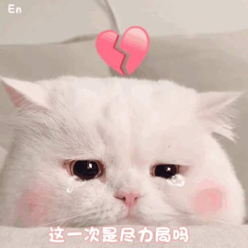 沙雕动图小型表情包搞笑表情包动态图0819期