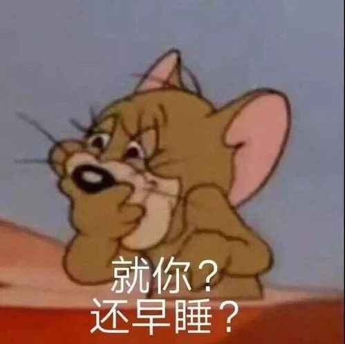 可爱表情包拿图片太搞笑了,哈哈哈哈,已经懵逼