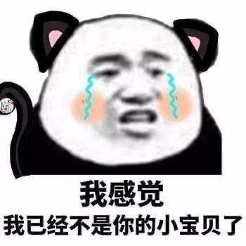 搞笑熊猫头说到你的痛处了吗
