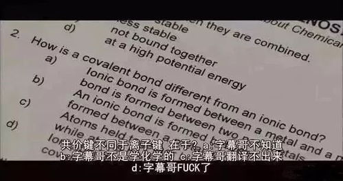 字幕君是字幕君,正不正经就不知道了