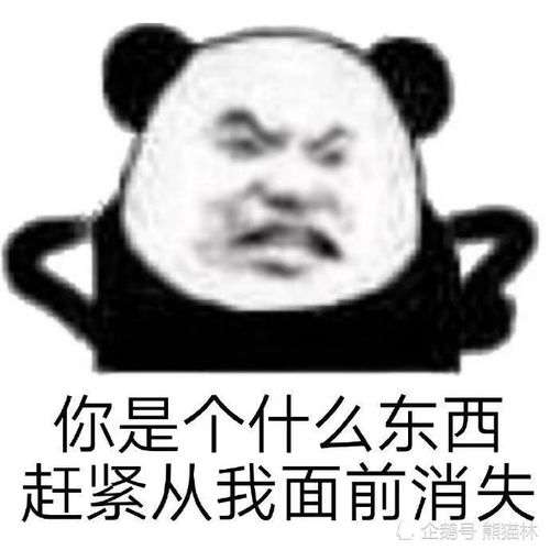 沙雕熊猫表情包欺骗