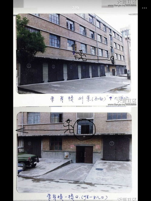 表情社会伦理哲学逻辑辩证有趣问题搜罗等收藏夹表情