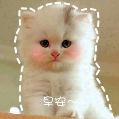 墨夜笙仙女表情包