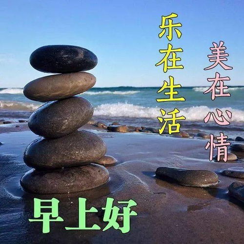 2月24日特好看的早上问候动态表情图片大全微信群早上问候表情图片