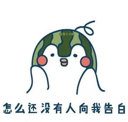 看你的表情包,一定是单身狗吧