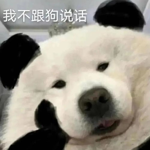 超级无敌极品沙雕搞笑表情包
