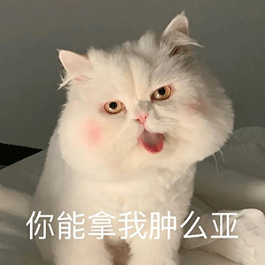 搞笑表情包沙雕动态小老鼠