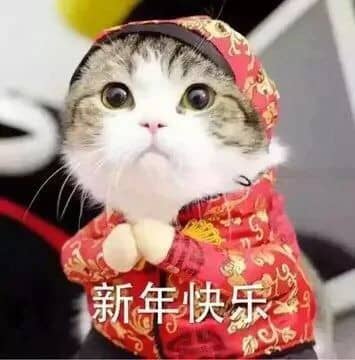 推荐一波中国春节要红包好玩的表情包