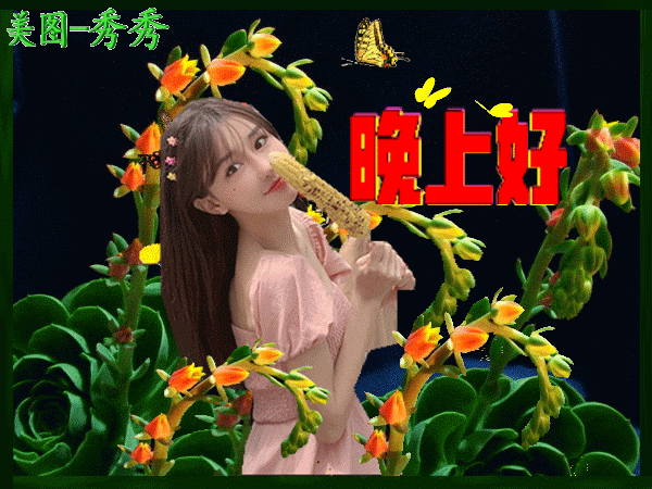 9张最新漂亮的晚上好动画图片晚安问候语表情包带字经典