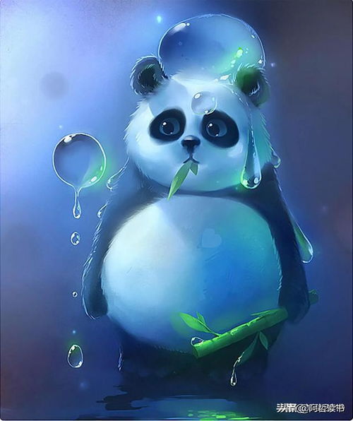 图片欣赏萌宠可爱的小动物壁纸,萌化了,美醉了,太招人喜欢啦