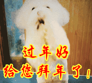 2018狗年拜年要红包gif系列图片2018狗年拜年要红包动图表情包下载乐游网游戏下载